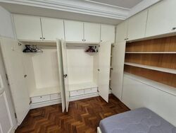 The Tanamera (D16), Condominium #485686321